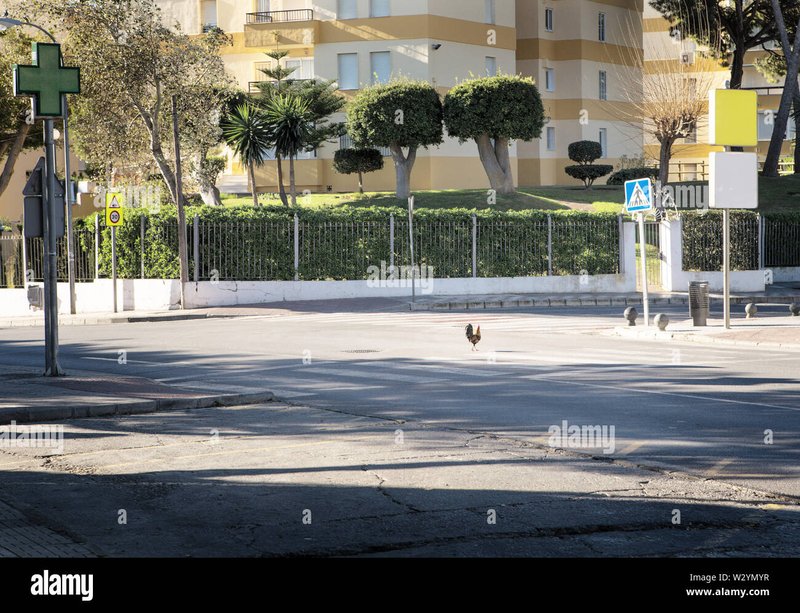 Descubre el Misterio de la Ruta del Pollo en el Casino de España in Spain