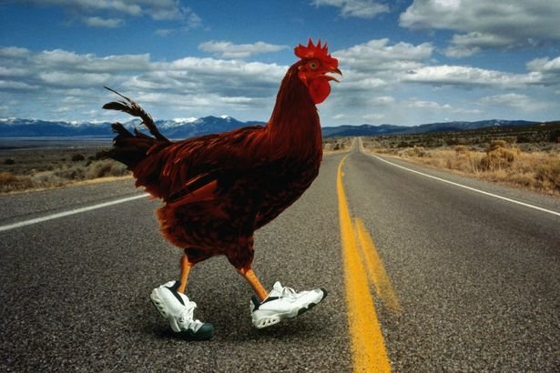 Chicken road demo, chicken road gokspel